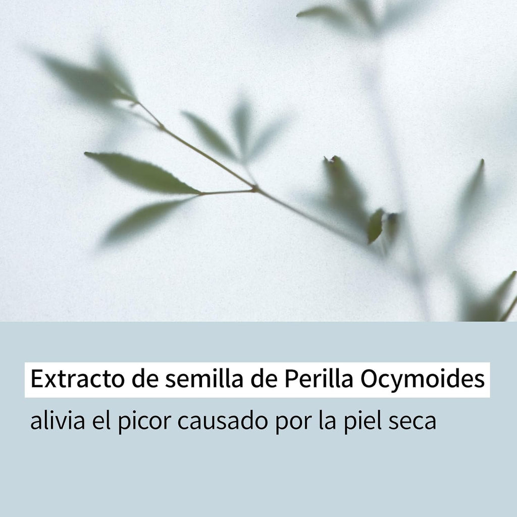 ILLIYOON Ceramide Ato Lotion 68Ml, Fortalecer Y Restaurar La Barrera Cutánea Con Ceramida De Soja Para Pieles Secas Y Sensibles, Hidratante Suave Para Niños Y Adultos, Vegano, Sin Perfume